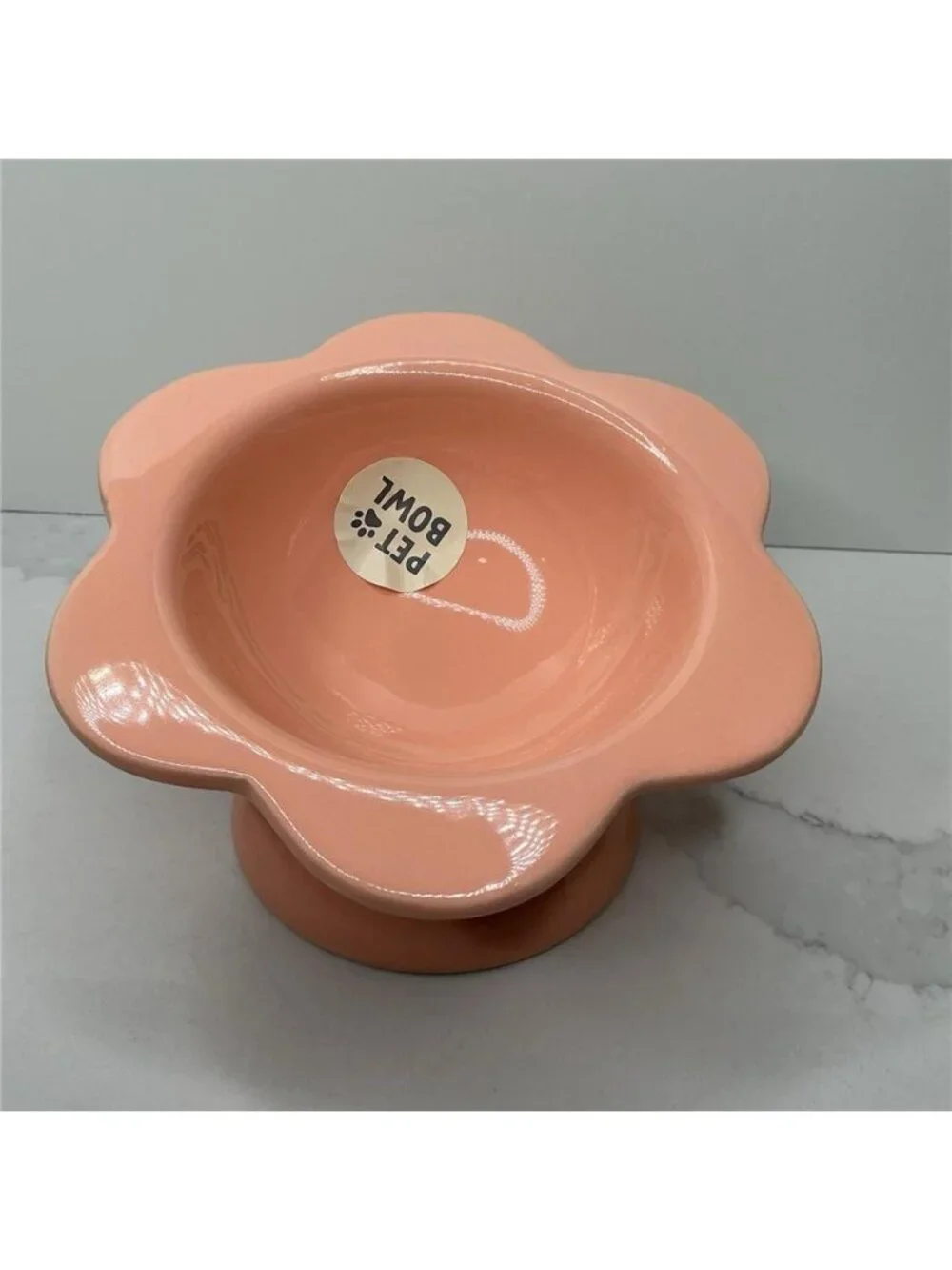 Rare Rockybear Pets Ceramic Food Bowl Elevated 4